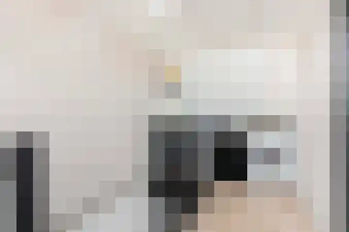 Remus 29 Wijk bij Duurstede thumbnail 20