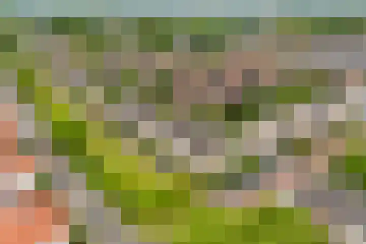 Remus 29 Wijk bij Duurstede thumbnail 30