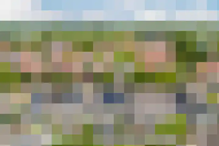 Remus 29 Wijk bij Duurstede thumbnail 32