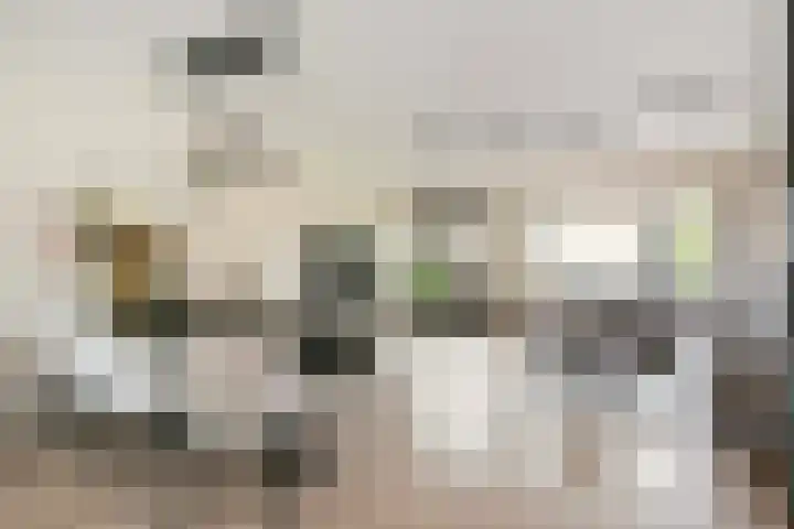 Remus 29 Wijk bij Duurstede thumbnail 4