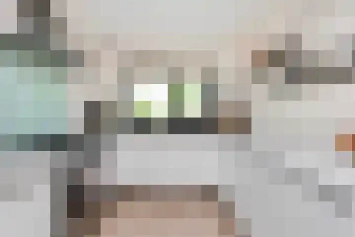 Remus 29 Wijk bij Duurstede thumbnail 8