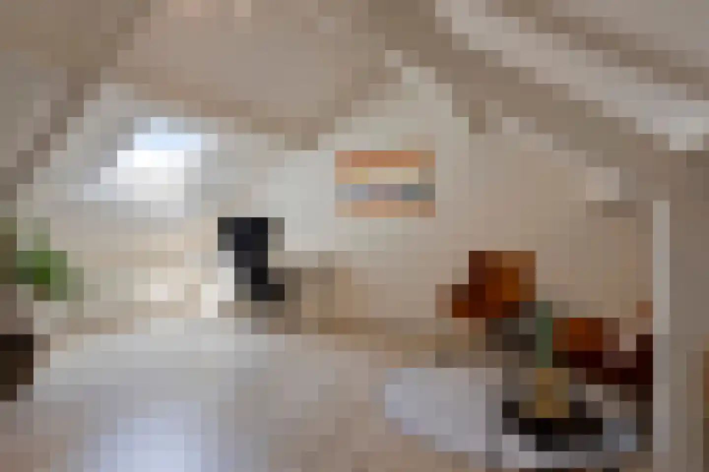 Remushof 14 Maastricht thumbnail 27