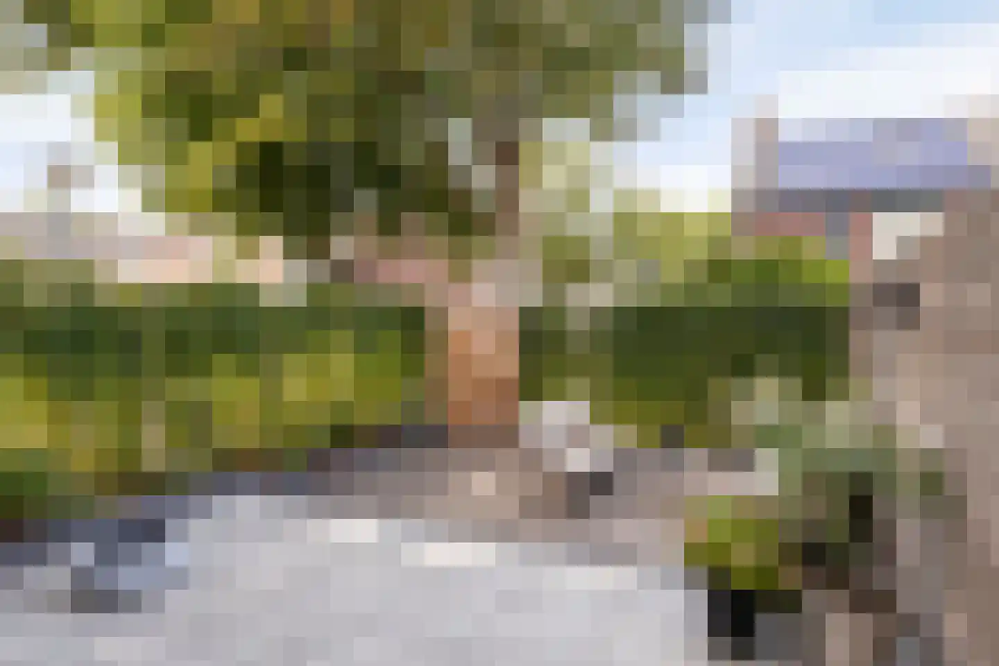 Remushof 14 Maastricht thumbnail 31