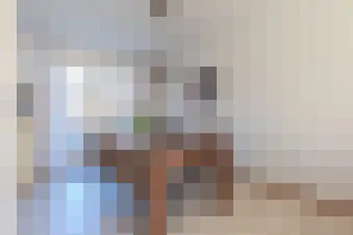 Remushof 24 Maastricht thumbnail 15