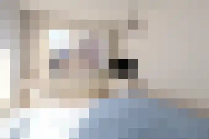 Remushof 24 Maastricht thumbnail 19