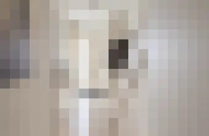 Remushof 24 Maastricht thumbnail 6