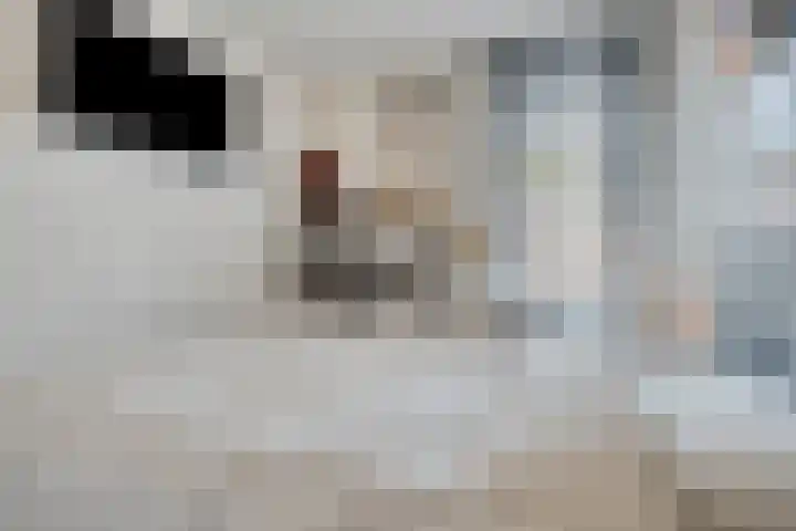Remushof 5 Maastricht thumbnail 13