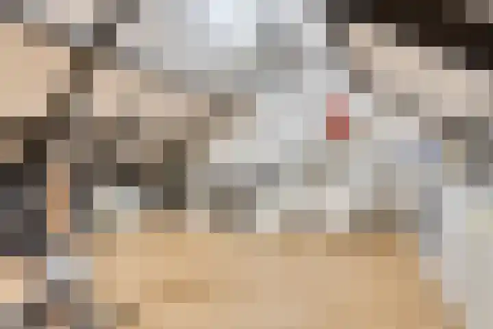 Remushof 5 Maastricht thumbnail 17