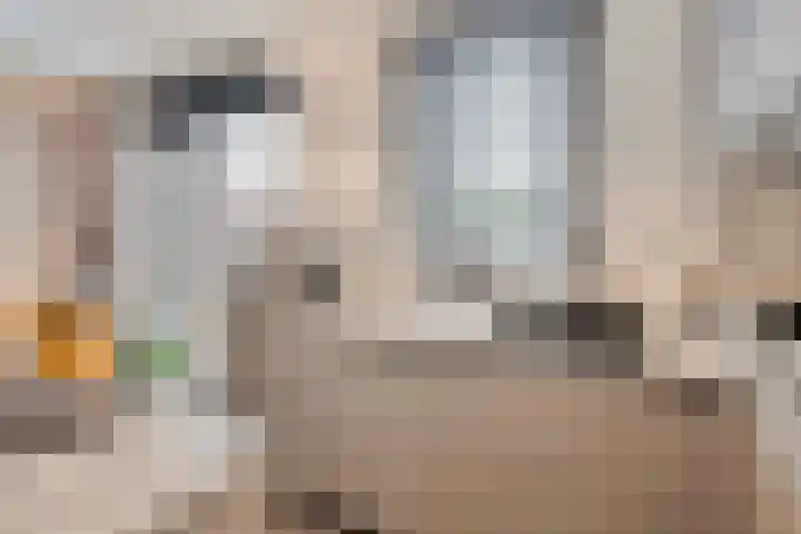Remushof 5 Maastricht thumbnail 9