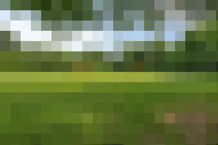 Remushof 8 Maastricht thumbnail 22