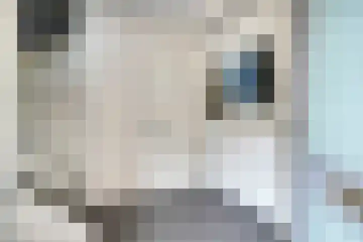 Remushof 8 Maastricht thumbnail 4