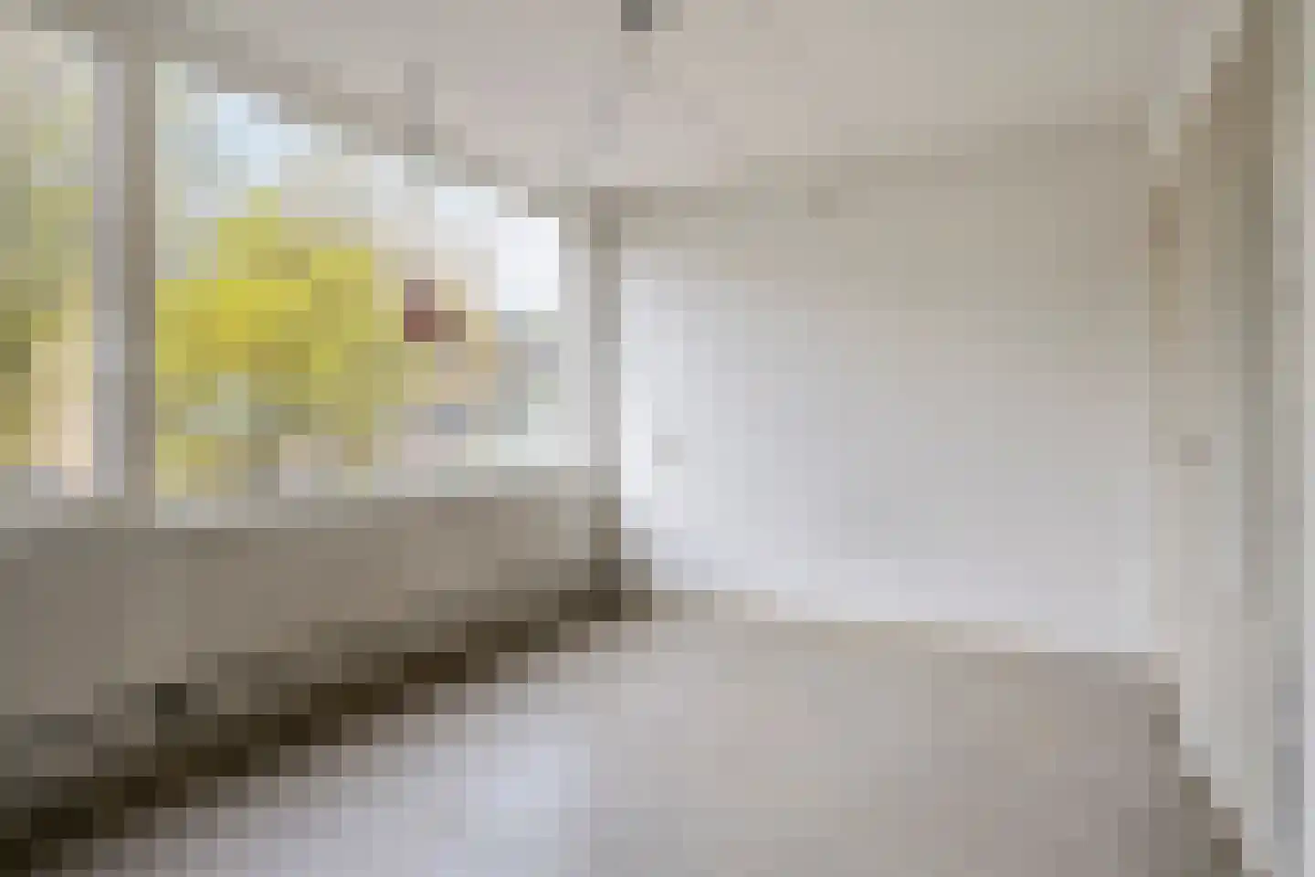 Remuslaan 30 Eindhoven thumbnail 24