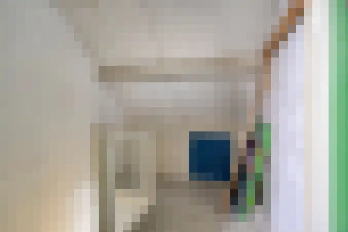 Remuslaan 30 Eindhoven thumbnail 27