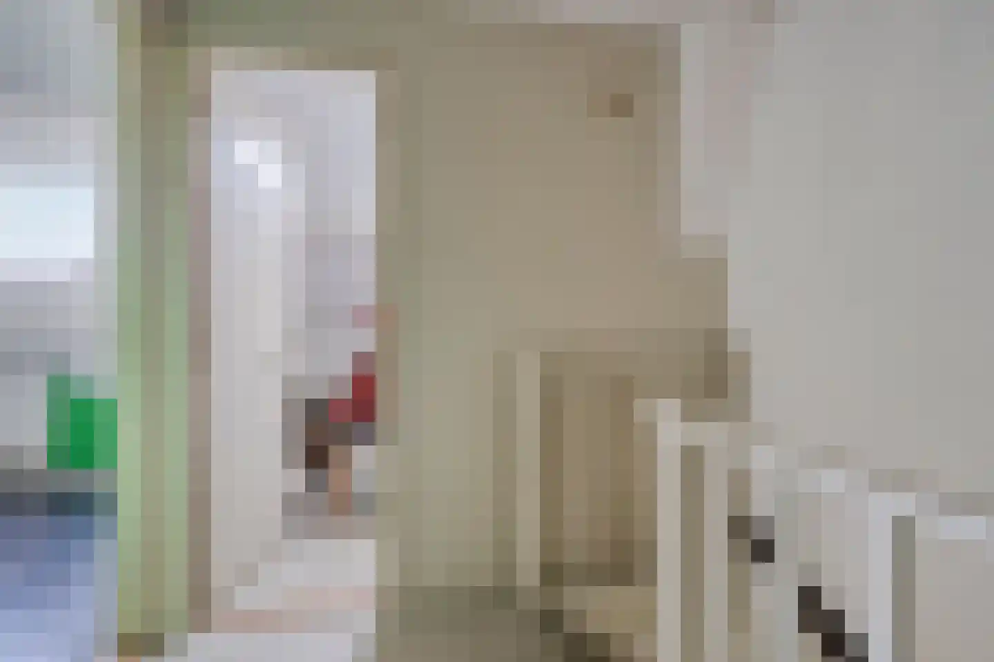 Remuslaan 30 Eindhoven thumbnail 28