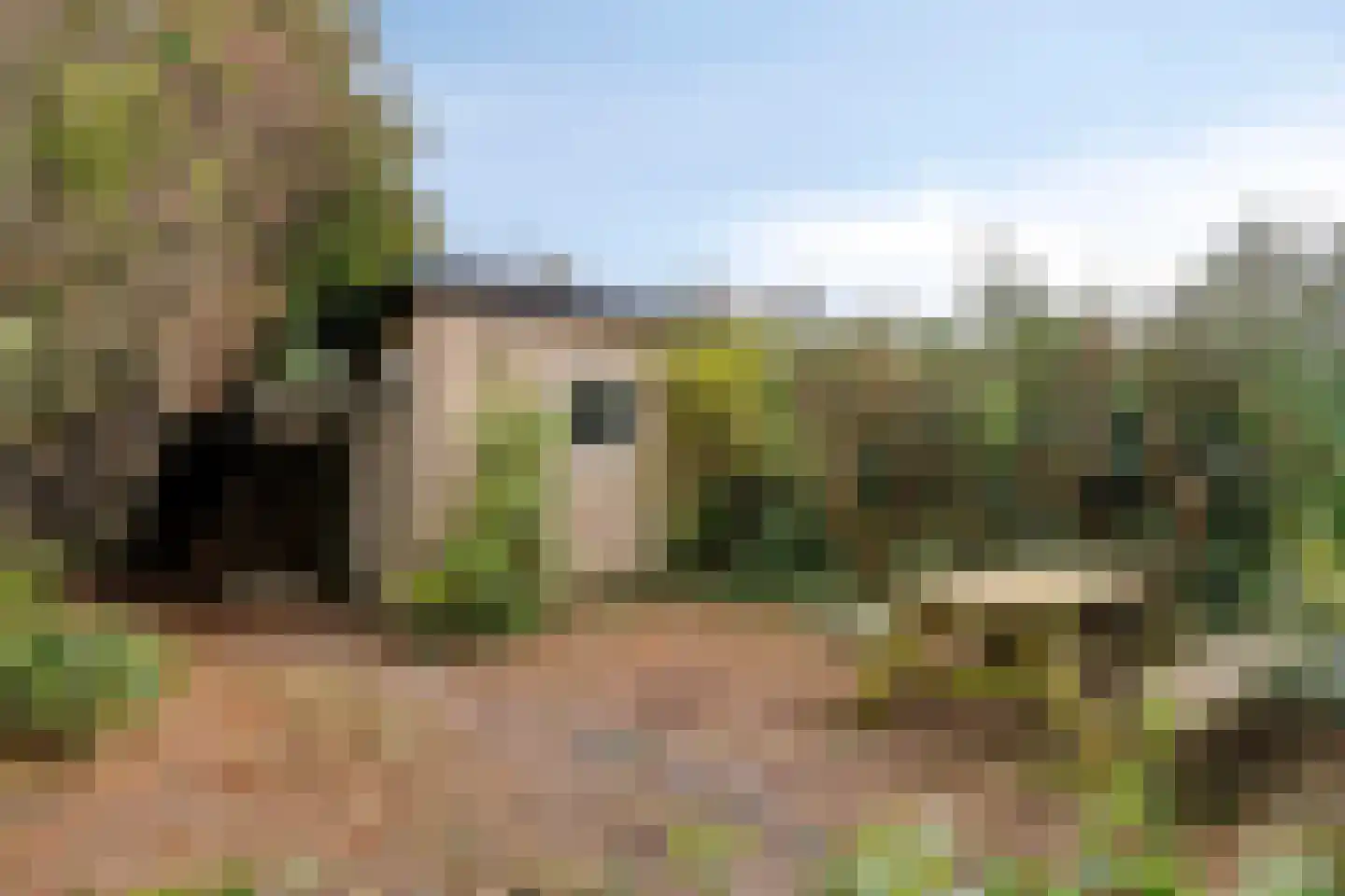 Remuslaan 30 Eindhoven thumbnail 31