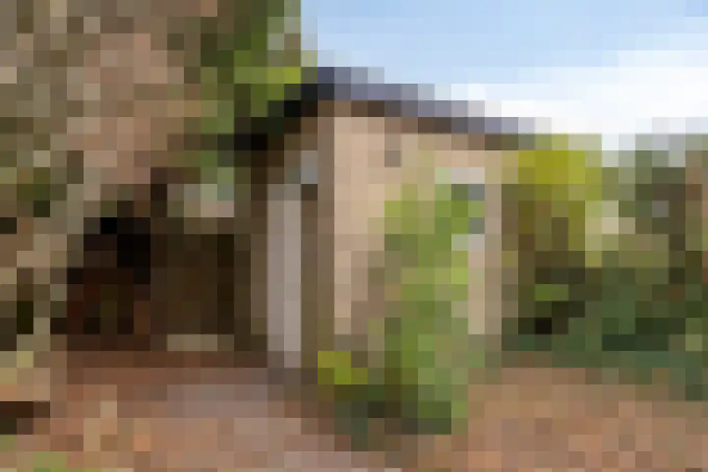 Remuslaan 30 Eindhoven thumbnail 32