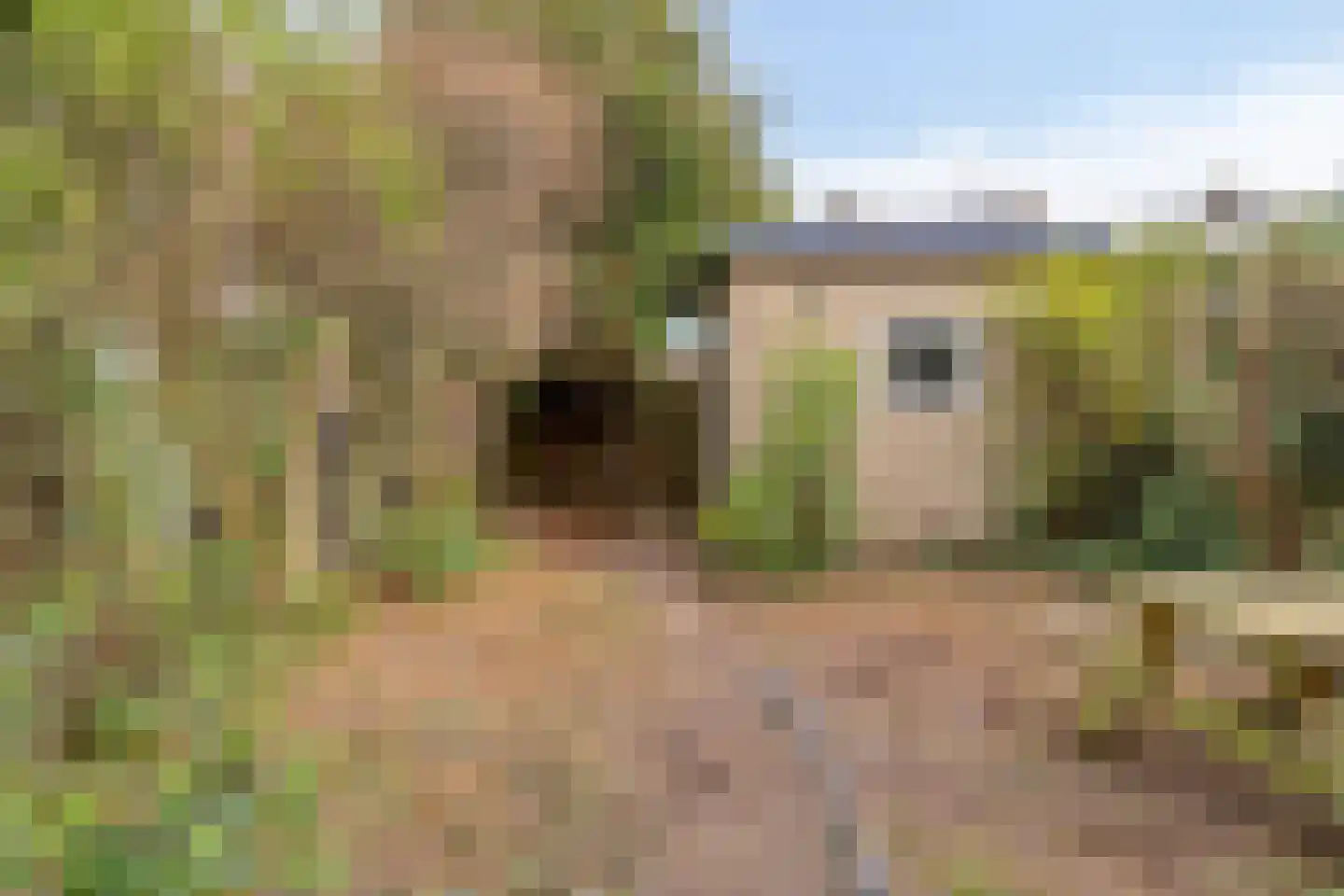 Remuslaan 30 Eindhoven thumbnail 33