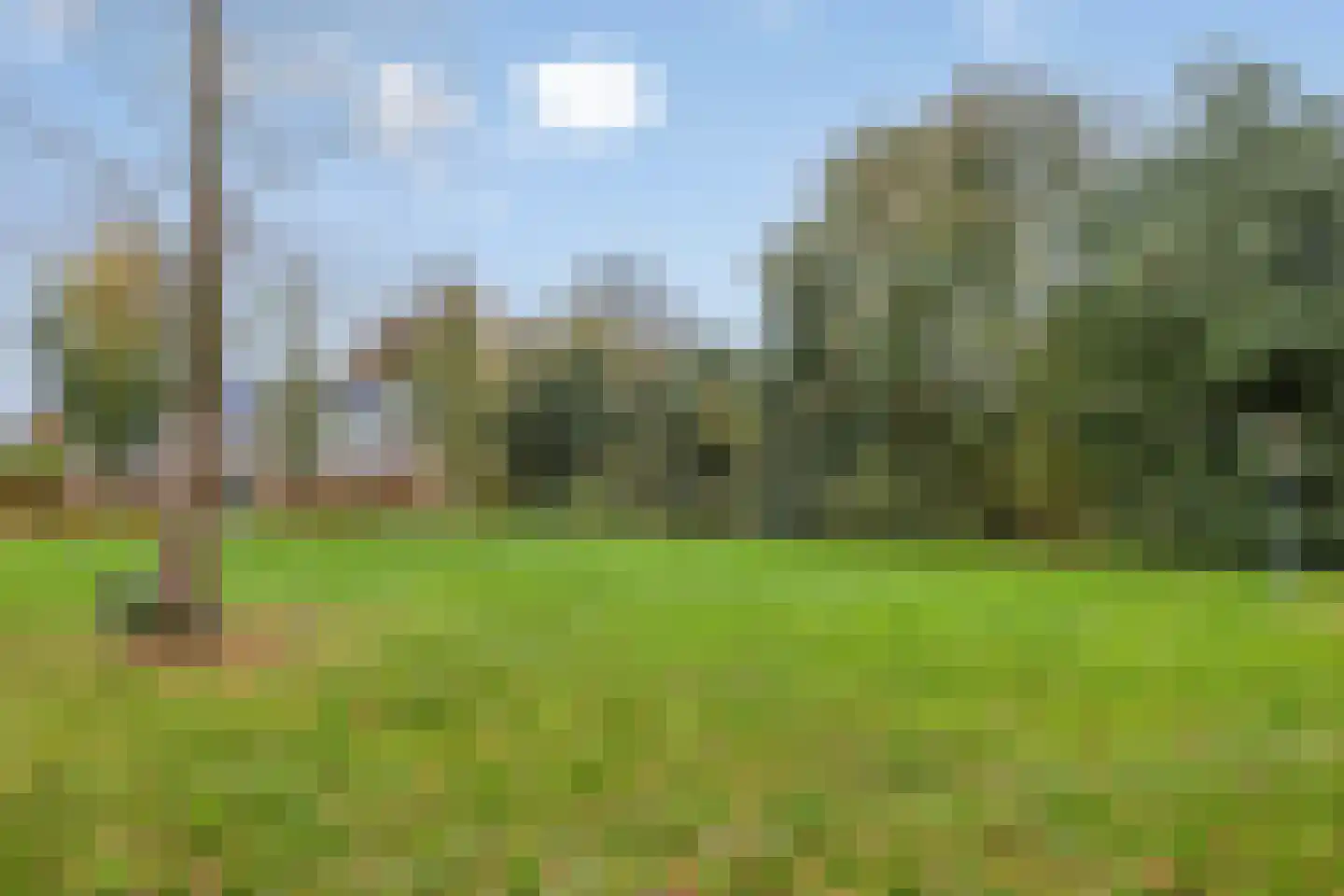 Remuslaan 30 Eindhoven thumbnail 36