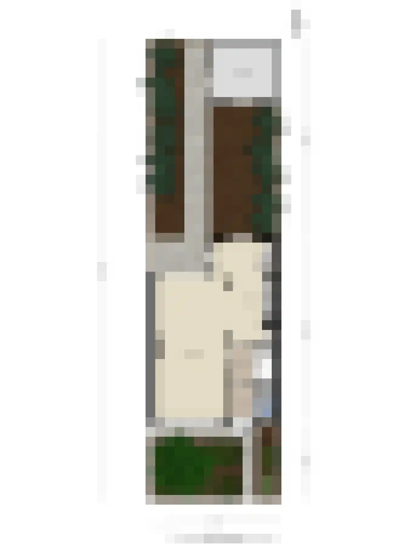 Remuslaan 30 Eindhoven thumbnail 42