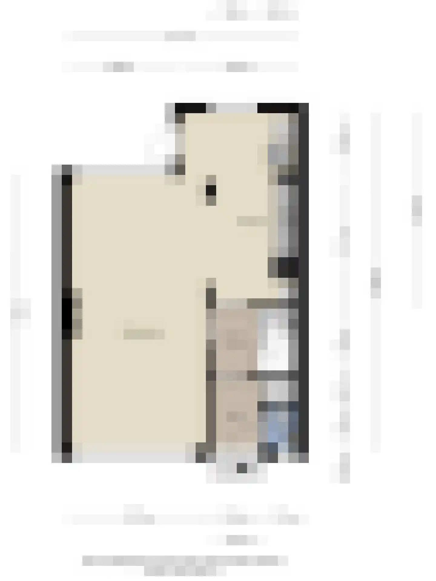 Remuslaan 30 Eindhoven thumbnail 43