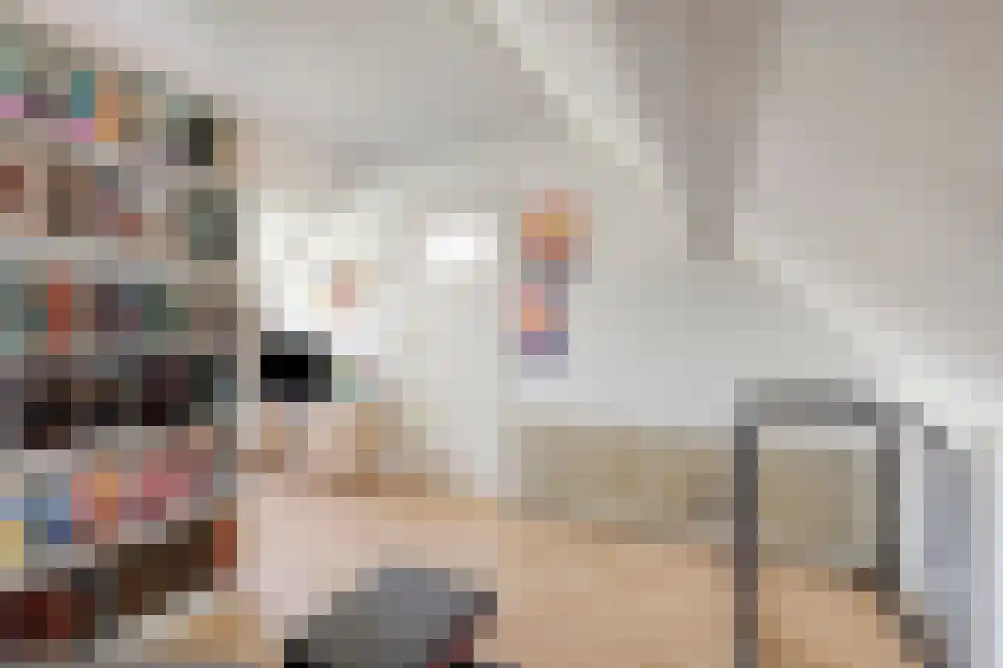 Remuslaan 34 Eindhoven thumbnail 39