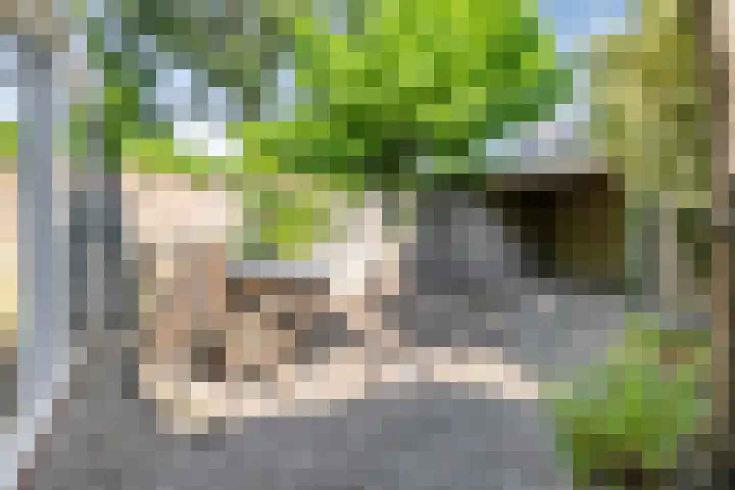 Remuslaan 34 Eindhoven thumbnail 41