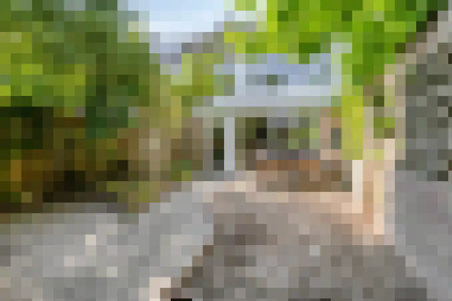 Remuslaan 34 Eindhoven thumbnail 42