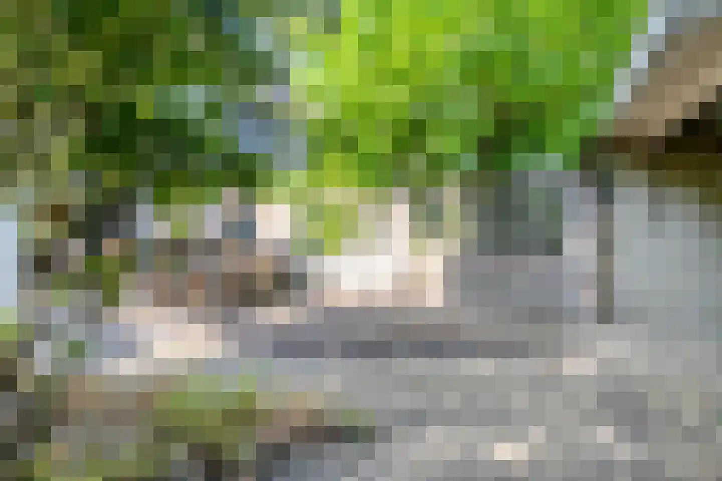 Remuslaan 34 Eindhoven thumbnail 44