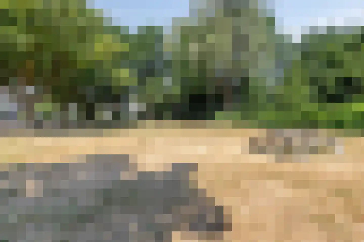 Remuslaan 34 Eindhoven thumbnail 48