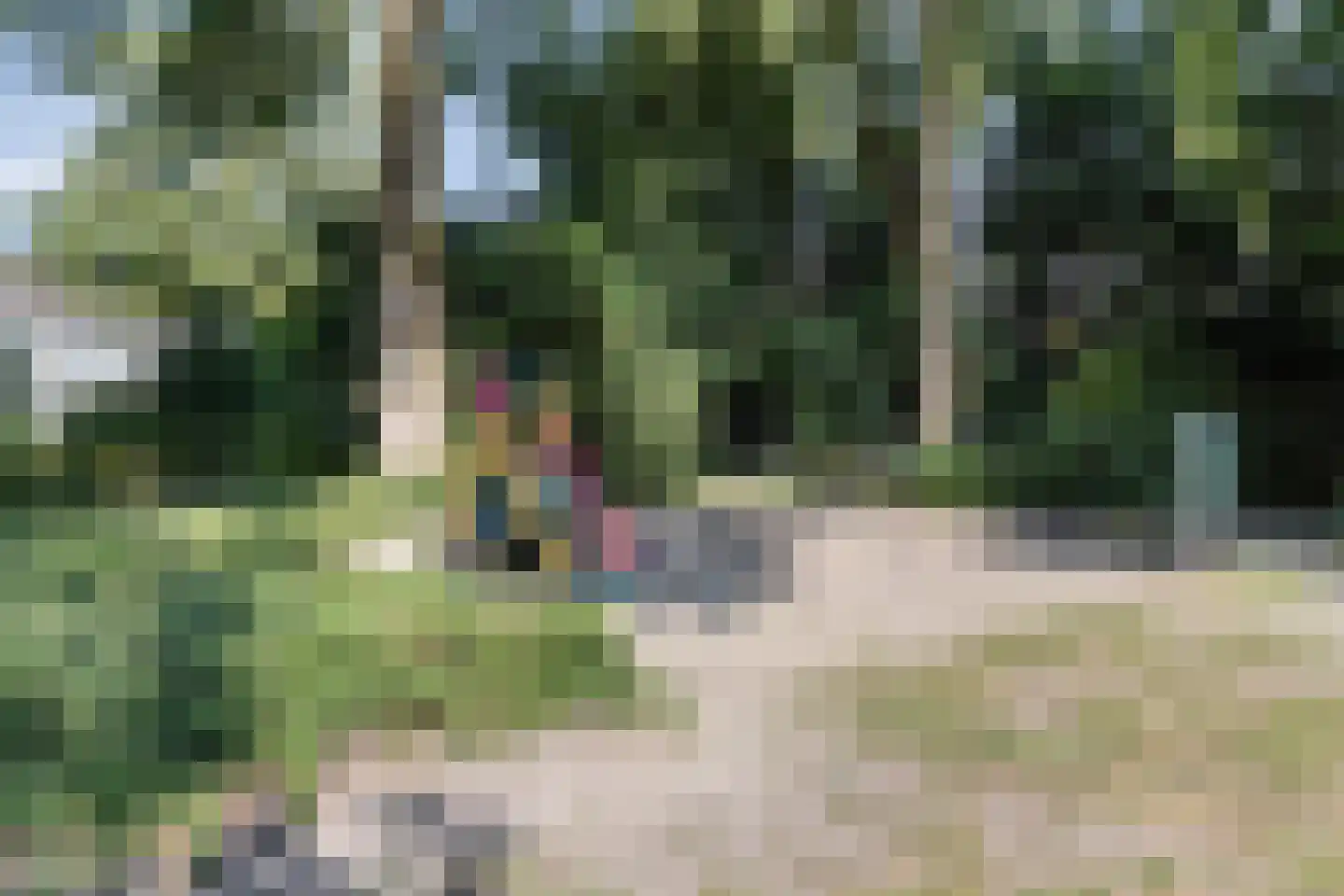 Remuslaan 34 Eindhoven thumbnail 49