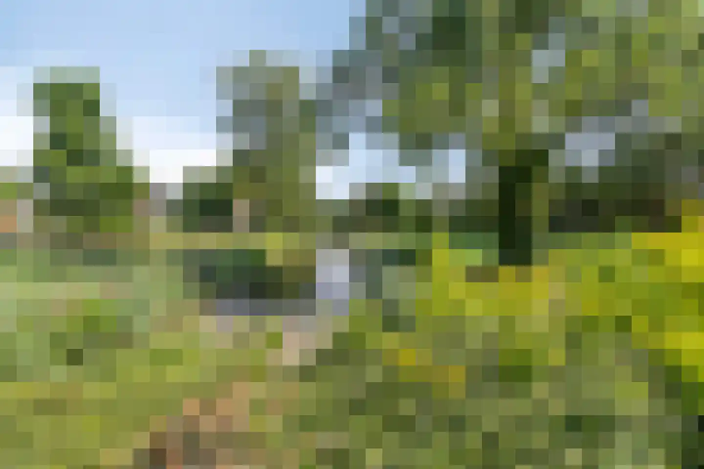 Remuslaan 34 Eindhoven thumbnail 51