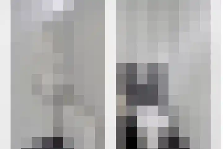 Remuslaan 64 Eindhoven thumbnail 11