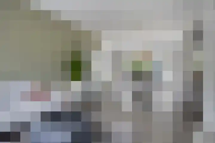 Remuslaan 64 Eindhoven thumbnail 16