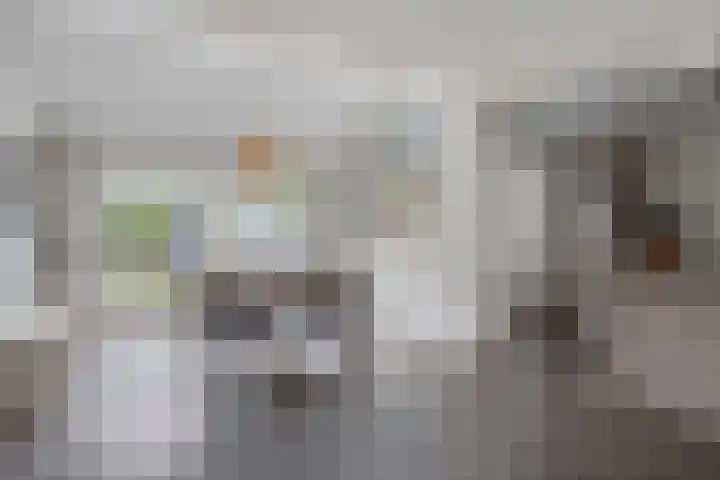 Remuslaan 64 Eindhoven thumbnail 17