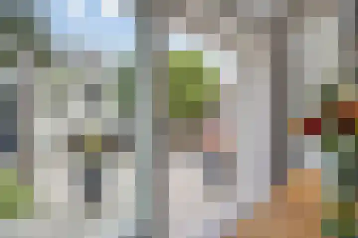 Remuslaan 64 Eindhoven thumbnail 19