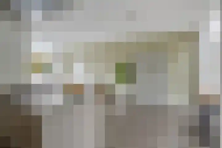 Remuslaan 64 Eindhoven thumbnail 26