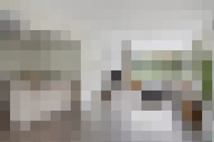 Remuslaan 64 Eindhoven thumbnail 4