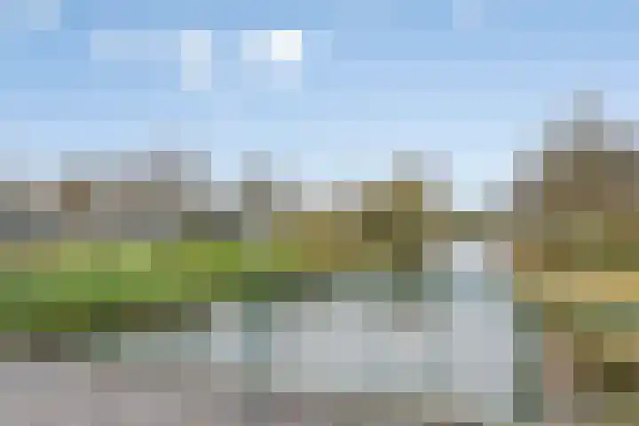 Remuslaan 64 Eindhoven thumbnail 51