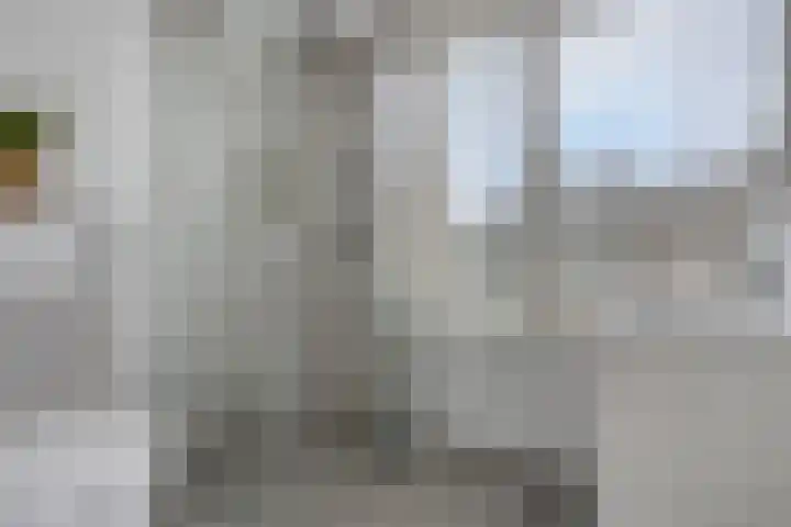 Remuslaan 64 Eindhoven thumbnail 6