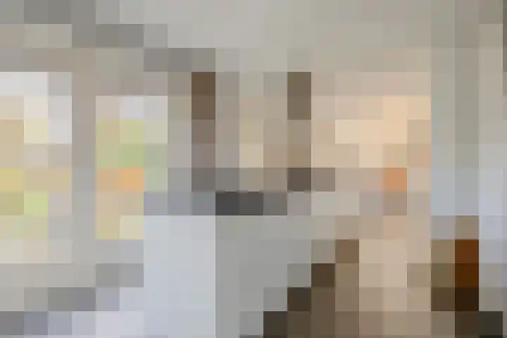 Remy van Haanenstraat 16 Oosterhout thumbnail 15