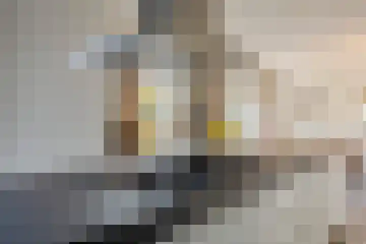 Remy van Haanenstraat 16 Oosterhout thumbnail 18