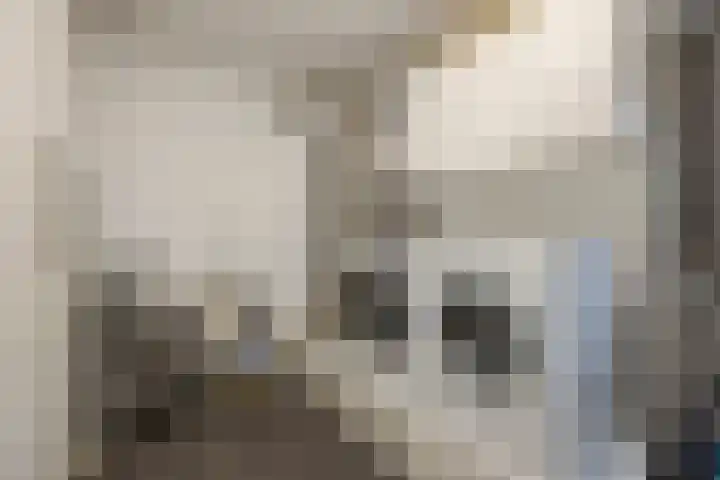 Remy van Haanenstraat 16 Oosterhout thumbnail 19