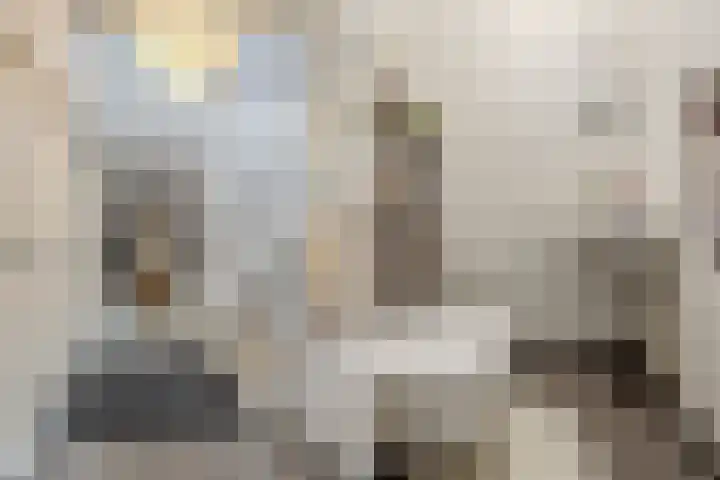 Remy van Haanenstraat 16 Oosterhout thumbnail 20