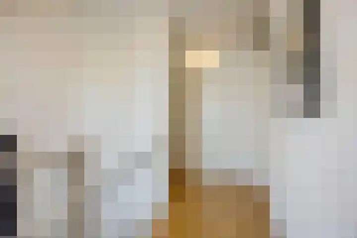 Remy van Haanenstraat 16 Oosterhout thumbnail 22