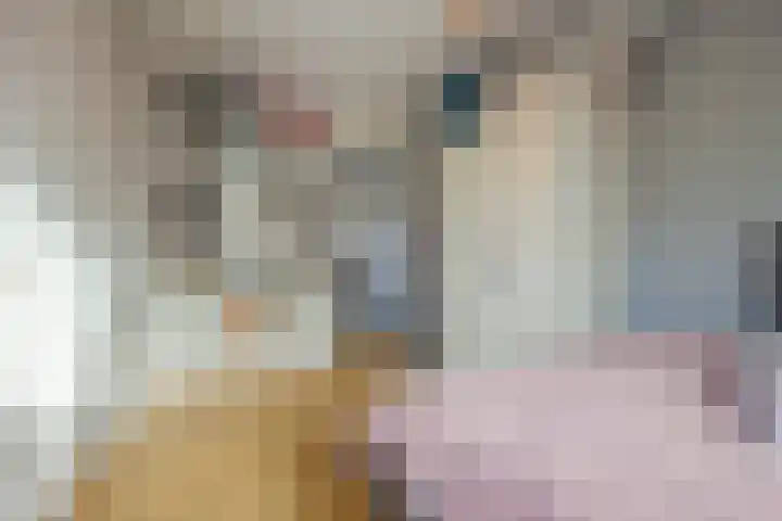 Remy van Haanenstraat 16 Oosterhout thumbnail 24