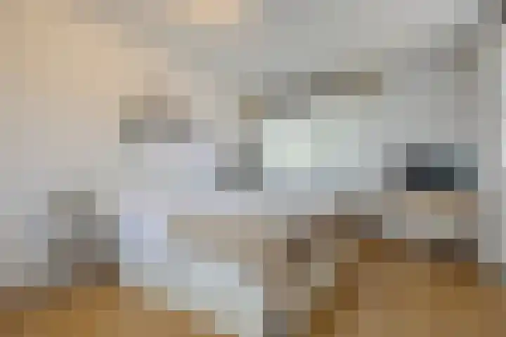 Remy van Haanenstraat 16 Oosterhout thumbnail 25