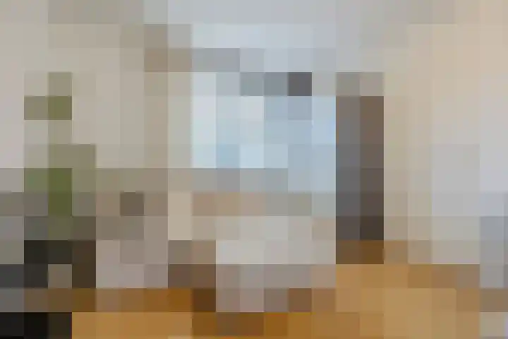 Remy van Haanenstraat 16 Oosterhout thumbnail 26