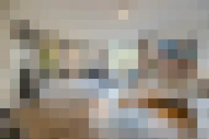 Remy van Haanenstraat 16 Oosterhout thumbnail 5