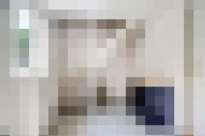 Remy van Haanenstraat 8 Oosterhout thumbnail 15