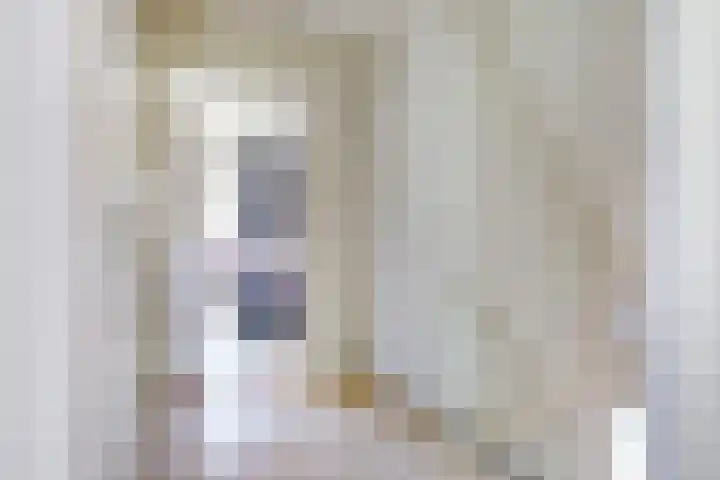 Remy van Haanenstraat 8 Oosterhout thumbnail 19